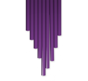 ABS Plum Purple